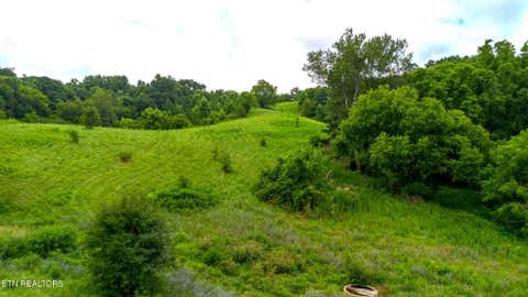 Tiny photo for 00 Old Greeneville Hwy, Parrottsville, TN 37843 (MLS # 1346970)