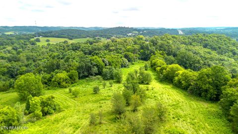 Tiny photo for 00 Old Greeneville Hwy, Parrottsville, TN 37843 (MLS # 1346970)