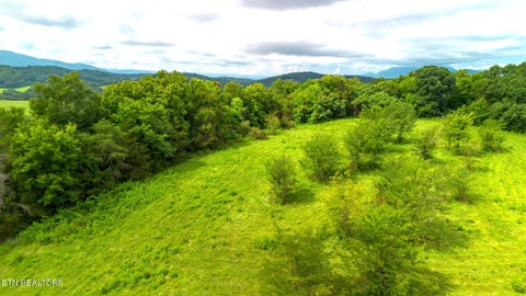 Tiny photo for 00 Old Greeneville Hwy, Parrottsville, TN 37843 (MLS # 1346970)