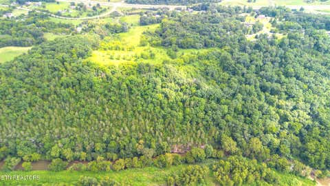 Tiny photo for 00 Old Greeneville Hwy, Parrottsville, TN 37843 (MLS # 1346970)