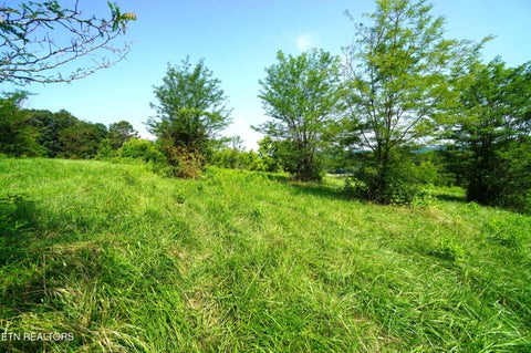 Tiny photo for 00 Old Greeneville Hwy, Parrottsville, TN 37843 (MLS # 1346970)