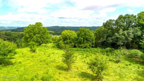 Tiny photo for 00 Old Greeneville Hwy, Parrottsville, TN 37843 (MLS # 1346970)