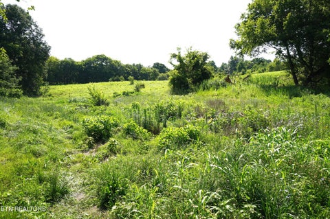 Tiny photo for 00 Old Greeneville Hwy, Parrottsville, TN 37843 (MLS # 1346970)