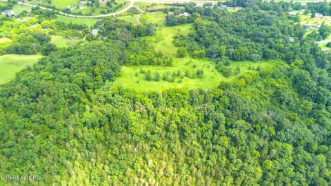 Tiny photo for 00 Old Greeneville Hwy, Parrottsville, TN 37843 (MLS # 1346970)