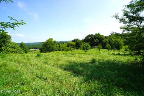 Tiny photo for 00 Old Greeneville Hwy, Parrottsville, TN 37843 (MLS # 1346970)
