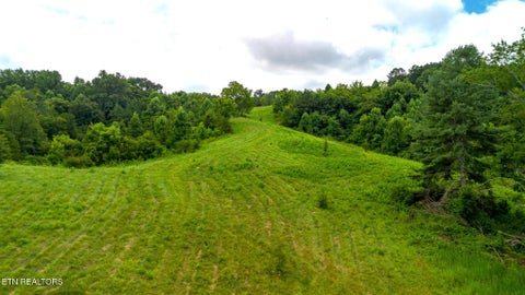 Tiny photo for 00 Old Greeneville Hwy, Parrottsville, TN 37843 (MLS # 1346970)