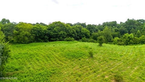 Tiny photo for 00 Old Greeneville Hwy, Parrottsville, TN 37843 (MLS # 1346970)