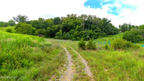 Tiny photo for 00 Old Greeneville Hwy, Parrottsville, TN 37843 (MLS # 1346970)