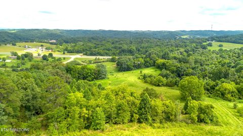 Tiny photo for 00 Old Greeneville Hwy, Parrottsville, TN 37843 (MLS # 1346970)