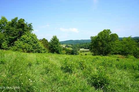 Tiny photo for 00 Old Greeneville Hwy, Parrottsville, TN 37843 (MLS # 1346970)