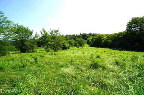 Tiny photo for 00 Old Greeneville Hwy, Parrottsville, TN 37843 (MLS # 1346970)