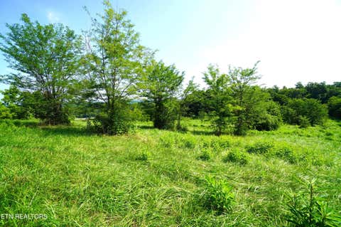 Tiny photo for 00 Old Greeneville Hwy, Parrottsville, TN 37843 (MLS # 1346970)