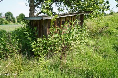 Tiny photo for 00 Old Greeneville Hwy, Parrottsville, TN 37843 (MLS # 1346970)