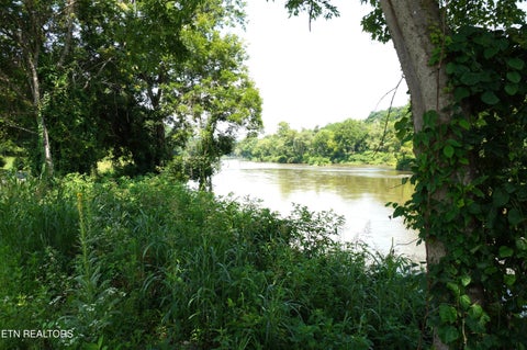 Tiny photo for 00 Old Greeneville Hwy, Parrottsville, TN 37843 (MLS # 1346970)