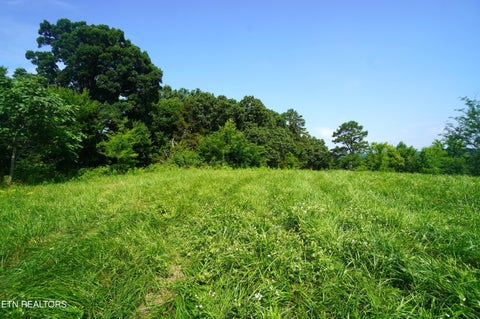 Tiny photo for 00 Old Greeneville Hwy, Parrottsville, TN 37843 (MLS # 1346970)