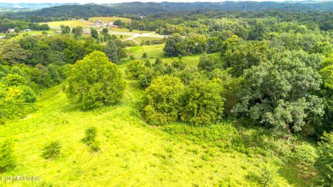 Tiny photo for 00 Old Greeneville Hwy, Parrottsville, TN 37843 (MLS # 1346970)