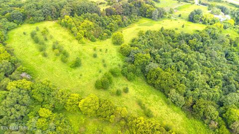 Tiny photo for 00 Old Greeneville Hwy, Parrottsville, TN 37843 (MLS # 1346970)
