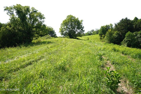 Tiny photo for 00 Old Greeneville Hwy, Parrottsville, TN 37843 (MLS # 1346970)
