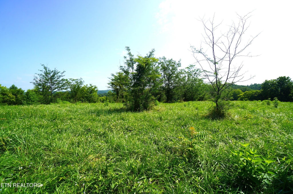 Photo of 00 Old Greeneville Hwy, Parrottsville, TN 37843 (MLS # 1346970)