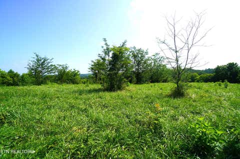 Tiny photo for 00 Old Greeneville Hwy, Parrottsville, TN 37843 (MLS # 1346970)