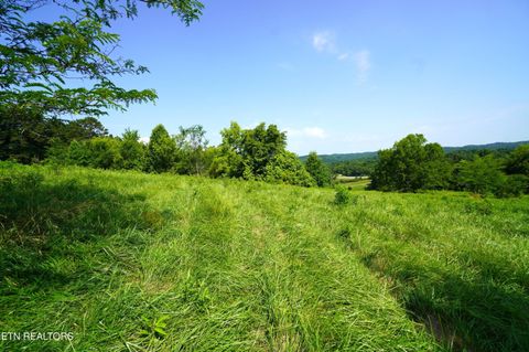 Tiny photo for 00 Old Greeneville Hwy, Parrottsville, TN 37843 (MLS # 1346970)