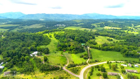 Tiny photo for 00 Old Greeneville Hwy, Parrottsville, TN 37843 (MLS # 1346970)