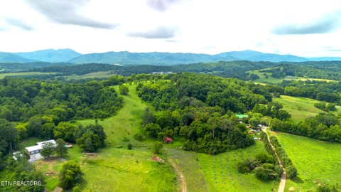 Tiny photo for 00 Old Greeneville Hwy, Parrottsville, TN 37843 (MLS # 1346970)