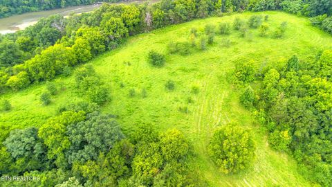 Tiny photo for 00 Old Greeneville Hwy, Parrottsville, TN 37843 (MLS # 1346970)