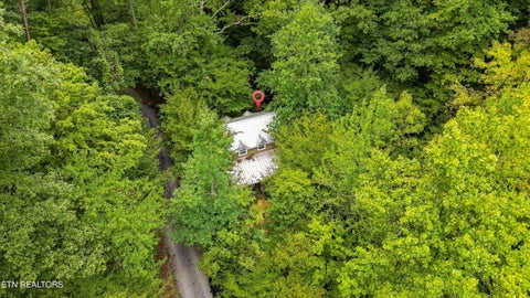 Tiny photo for 146 Mulberry Creek Rd, Vonore, TN 37885 (MLS # 1355447)