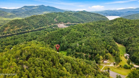 Tiny photo for 146 Mulberry Creek Rd, Vonore, TN 37885 (MLS # 1355447)
