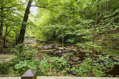 Tiny photo for 146 Mulberry Creek Rd, Vonore, TN 37885 (MLS # 1355447)
