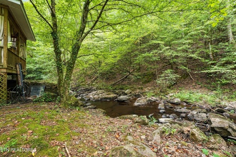 Tiny photo for 146 Mulberry Creek Rd, Vonore, TN 37885 (MLS # 1355447)
