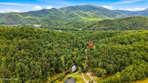 Tiny photo for 146 Mulberry Creek Rd, Vonore, TN 37885 (MLS # 1355447)