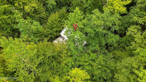 Tiny photo for 146 Mulberry Creek Rd, Vonore, TN 37885 (MLS # 1355447)