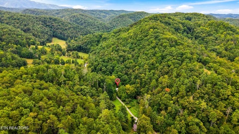 Tiny photo for 146 Mulberry Creek Rd, Vonore, TN 37885 (MLS # 1355447)