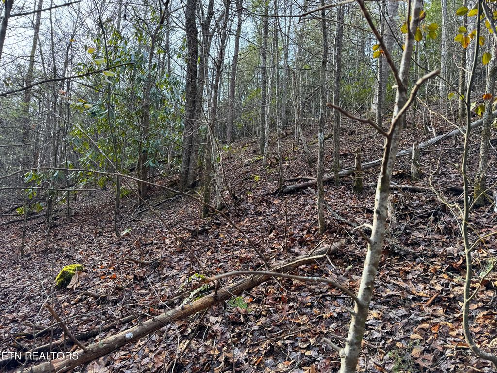 Photo of Black Gum Rd, Gatlinburg, TN 37738 (MLS # 1254672)