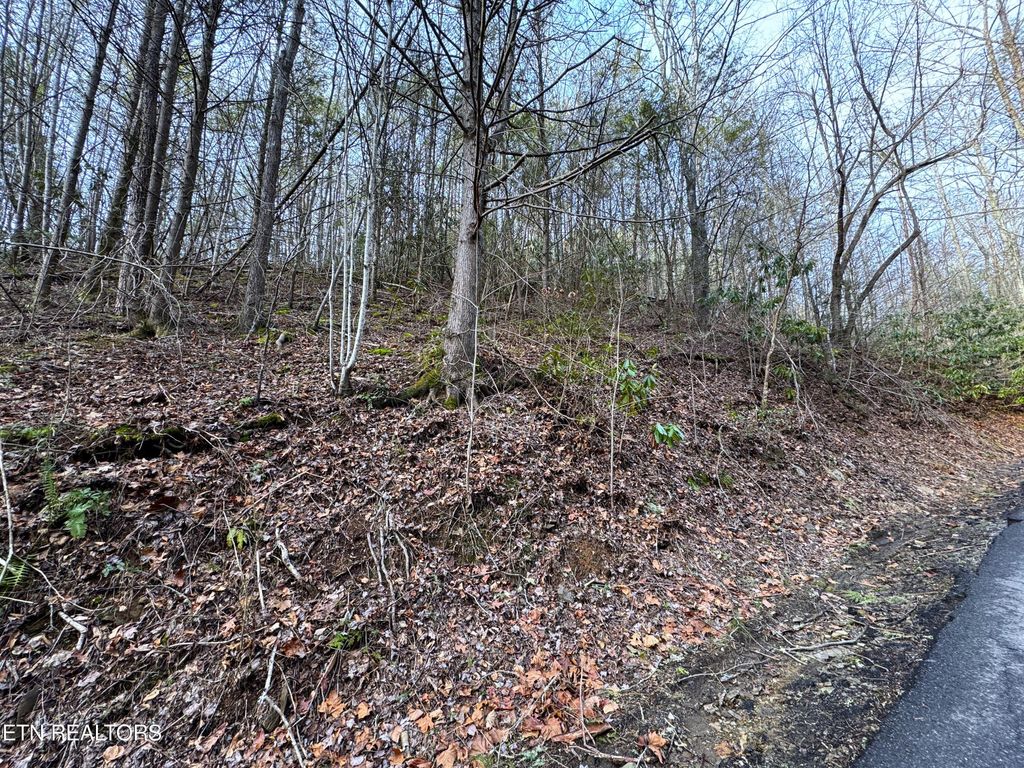Photo of Black Gum Rd, Gatlinburg, TN 37738 (MLS # 1254672)