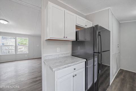 Tiny photo for 6952 Cottonport Rd, Decatur, TN 37322 (MLS # 1326527)