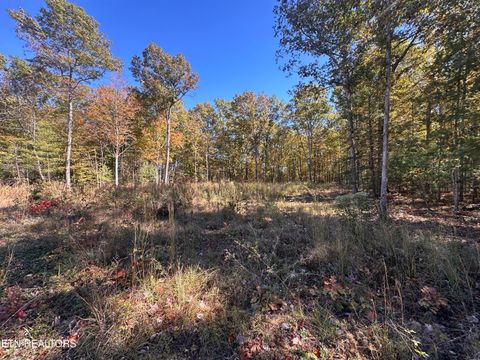 Photo of 796 Dubose Drive, Jamestown, TN 38556 (MLS # 1319368)