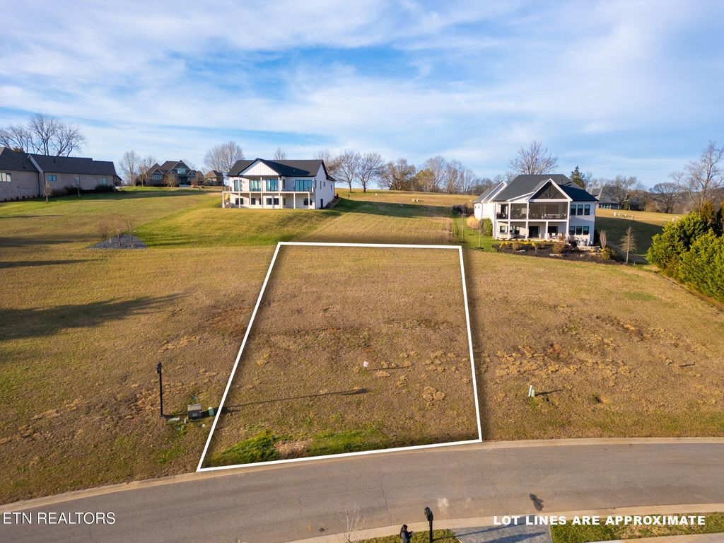 Photo of 325 Chestnut Lane, Loudon, TN 37774 (MLS # 1319678)