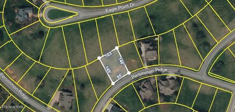 Photo of 325 Chestnut Ln Lane, Loudon, TN 37774 (MLS # 1319678)