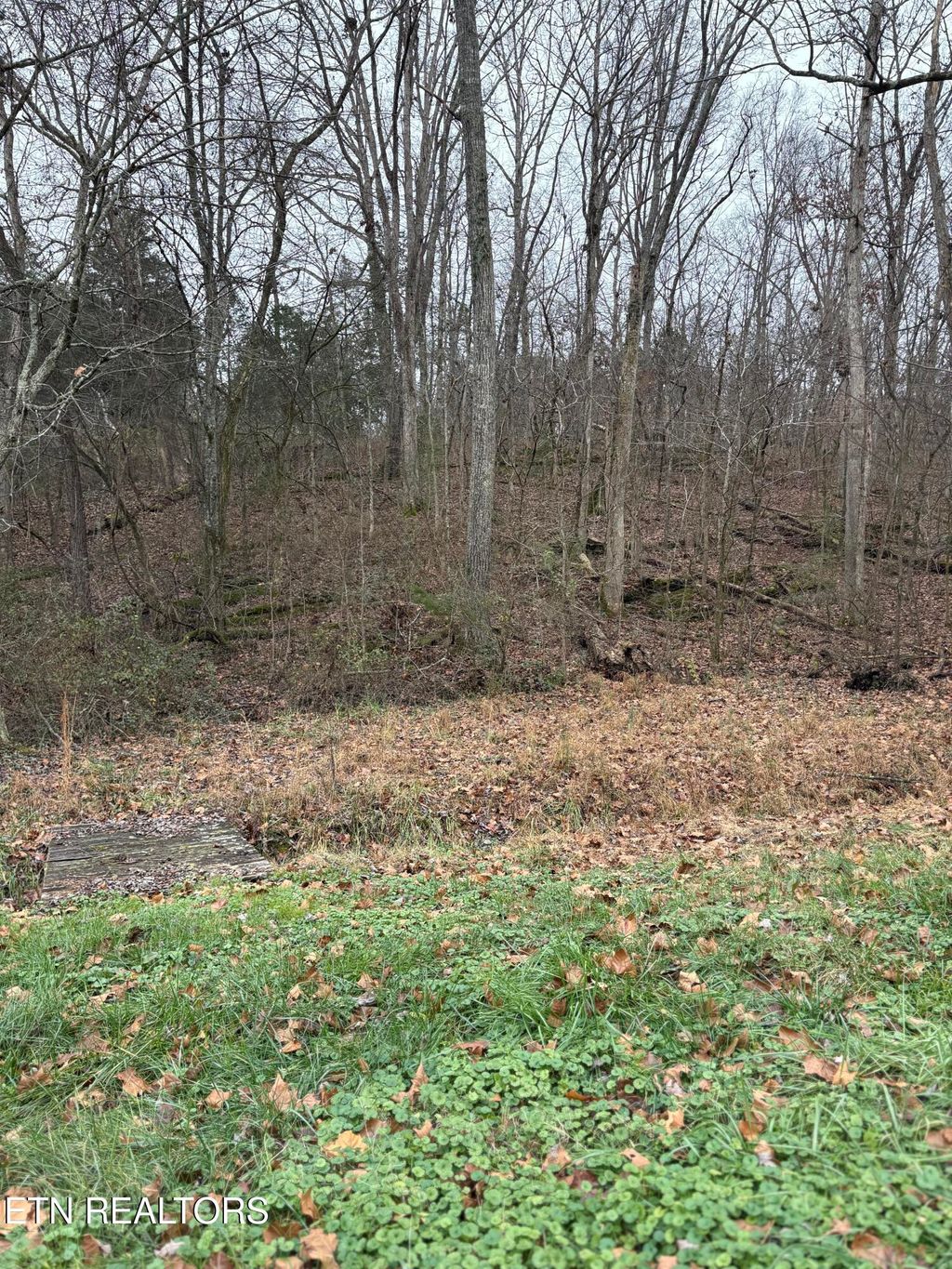 Photo of 0 Old Buck Creek Rd, Kingston, TN 37763 (MLS # 1323389)