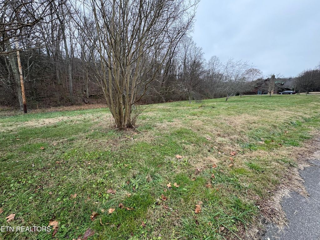 Photo of 0 Old Buck Creek Rd, Kingston, TN 37763 (MLS # 1323389)