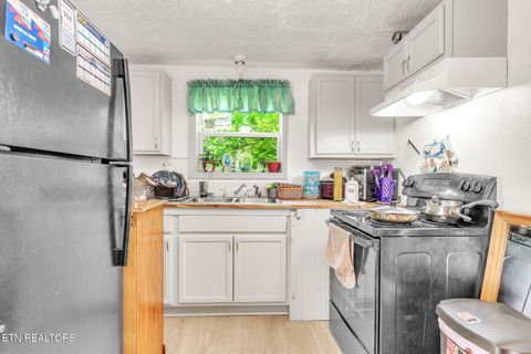 Tiny photo for 929 N Roane St St, Harriman, TN 37748 (MLS # 1326408)