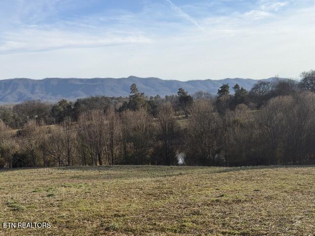 5365 Sevierville (61 Acres) Rd