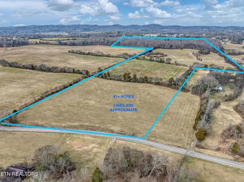 Photo of 5365 Sevierville (61 Acres) Rd, Maryville, TN 37804 (MLS # 1329897)