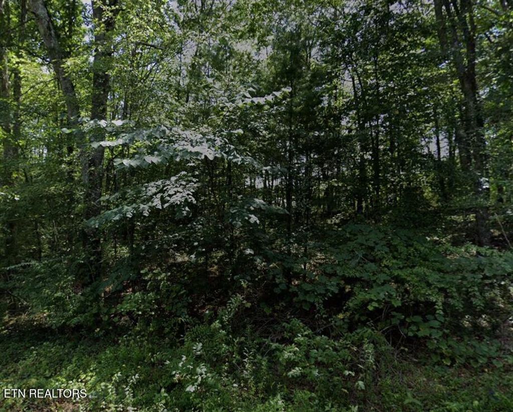 Photo of 7014 Ute Lane, Crossville, TN 38572 (MLS # 1334756)