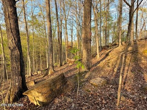 Tiny photo for Catoosa Drive & Kahiti Court, Mooresburg, TN 37811 (MLS # 1321706)