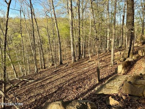 Tiny photo for Catoosa Drive & Kahiti Court, Mooresburg, TN 37811 (MLS # 1321706)