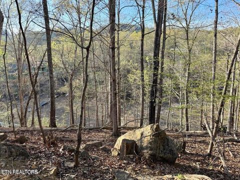 Tiny photo for Catoosa Drive & Kahiti Court, Mooresburg, TN 37811 (MLS # 1321706)